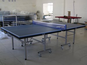 Table Tennis Table