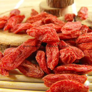 Dried Goji Berry with High Quality From China