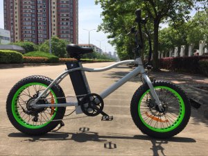 Grey Color 20inch Fat Tyre Mountain Electric Bicycle American Style