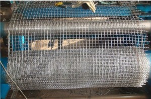 Crimped Mesh Good Quality China Factory