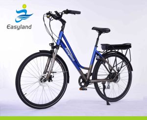 2017 Brushless E-Bike with 36V SANYO Lithium Battery